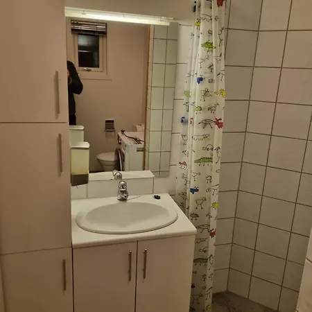 Apartman Morana, Falkum Skien
